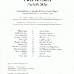 Pépin, Marc-André - Ciels variables / Variable Skies