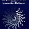 Vandendool, Grace - Keyboard Theory Intermediate Rudiments