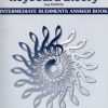 Vandendool, Grace - Keyboard Theory Intermediate Rudiments Answer Book