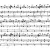 Ahrens, Cora - Daily Sight Playing Exercises, Book 2