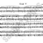 Ahrens, Cora - Daily Sight Playing Exercises, Book 3