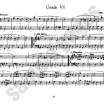 Ahrens, Cora - Daily Sight Playing Exercises, Book 3