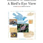 Greenleaf, Elizabeth - A Bird's-Eye View